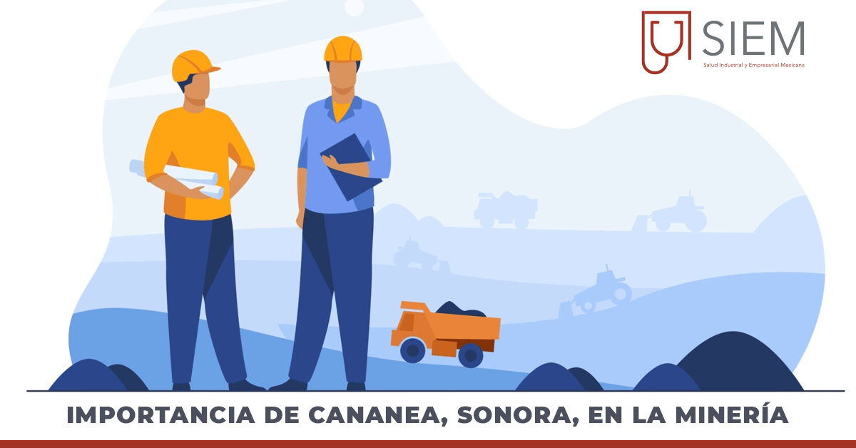 Importancia de Cananea en la minería